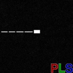 Image for 'PLS'