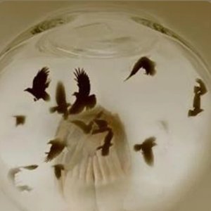 The World Is Empty, Paint It Red (A Tribute to Verner)