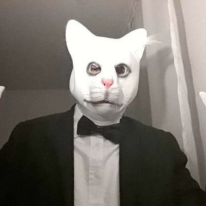 Avatar for Jerry The Cat