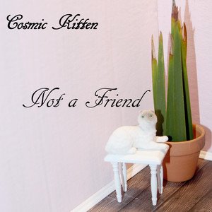 Not a Friend