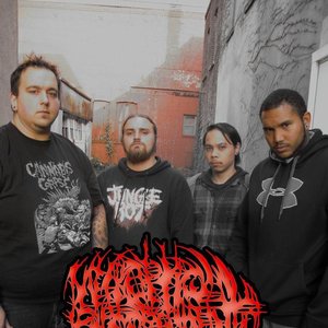 Avatar for Necroptic Engorgement