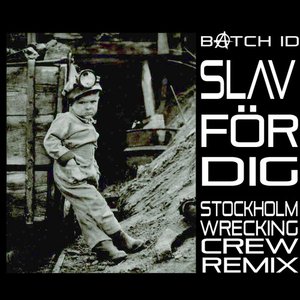 Slav för dig (Stockholm Wrecking Crew remix)