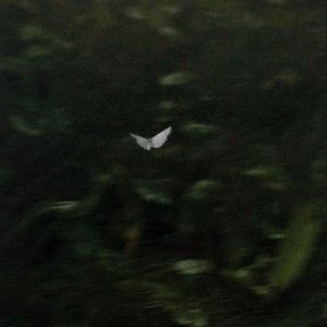 nevermadeithome 的头像