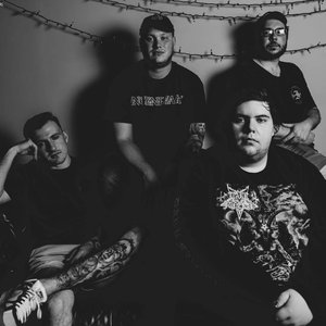 Sanity TN 的头像