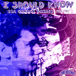 USA Garage Greats 1965-1967: Vol. 139: I'm a Nuthin'