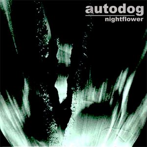 Autodog 的头像