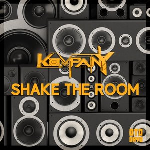 Shake the Room