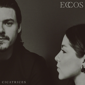 Artwork for Eco