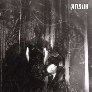 Anxur 的头像