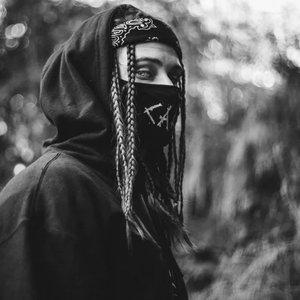 Northside Hollow 的头像