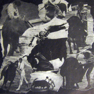 The Torero's photo provided by Last.fm