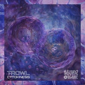 Cytokinesis