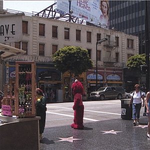 A Daydream on Oak Street