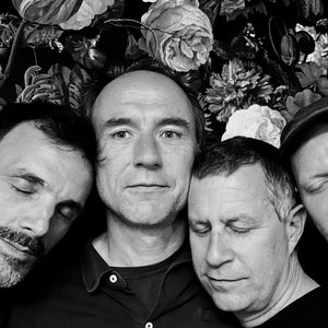 Awatar dla The Radio Field