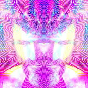 Avatar for Akira The Don, Terence McKenna