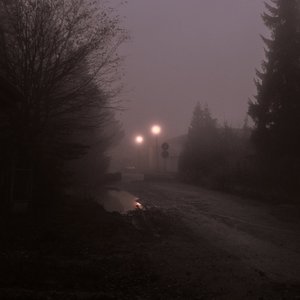 Foggy Suburbs