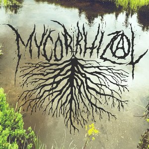 Avatar for Mycorrhizal