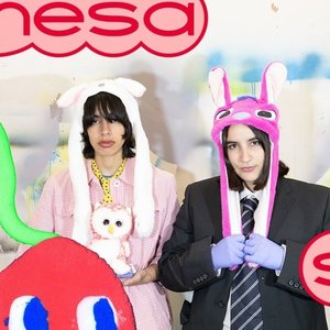 Siamesa 的头像