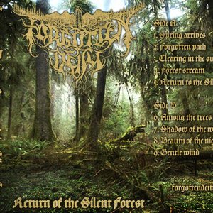 Return to the Silent Forest