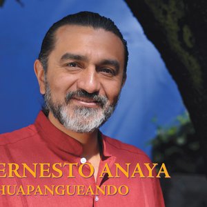 Ernesto Anaya için avatar