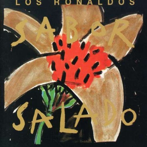 Sabor salado cover