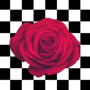 u n t i t l e d 007 (Quarantine Record)