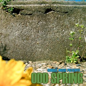 Odd Spring cover