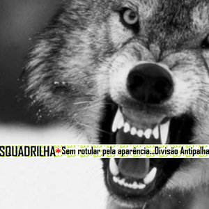 Avatar for Squadrilha