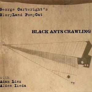 Black Ants Crawling
