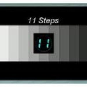 Image for '11 STEPS'