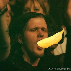 grynbanana 的头像