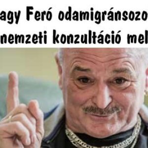 Nagy Feró 的头像