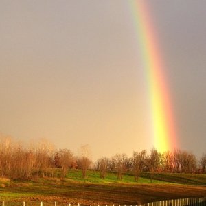 Over the Rainbow