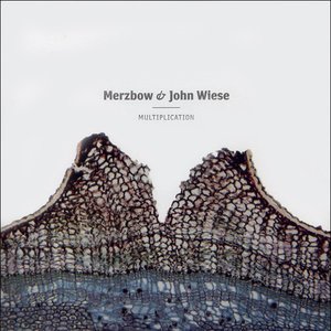 Merzbow & John Wiese için avatar