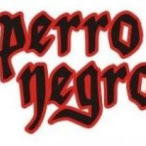 Perro Negro 的头像
