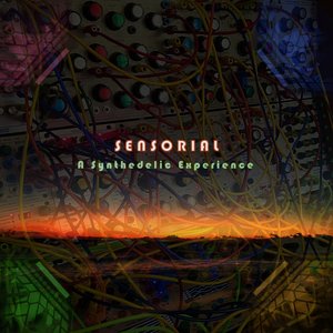 Sensorial: A Synthedelic Experience