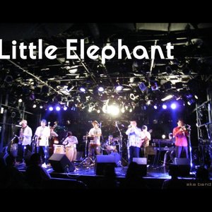 The Little Elephant 的头像
