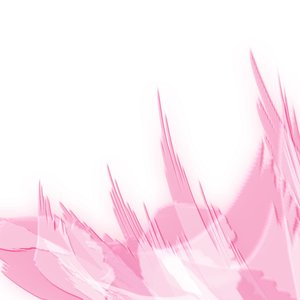 pink flower study