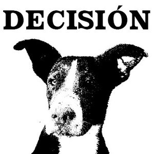 Decision 的头像