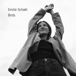 Artwork for Birds