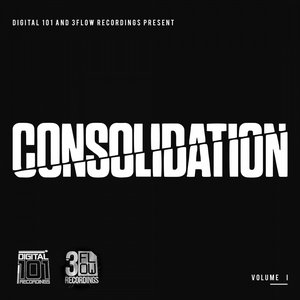 Digital 101 and 3Flow Recordings present Consolidation Vol I [Explicit]