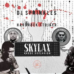 Skylax House Explosion (DJ Mix)