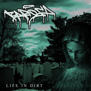 Life in Dirt
