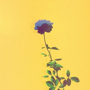 Kate's Glide - Single