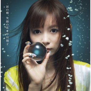 Shokotan 的头像