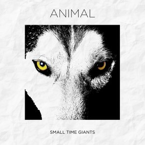 Animal - Single