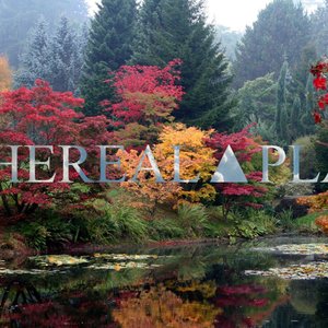 Ethereal Plæn 的头像
