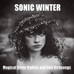 Magical Silver Bullets And Hell Birdsongs