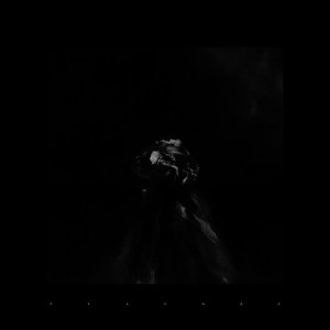 Promiscuity - Single