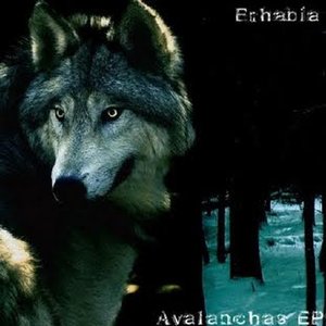 Avalanchas